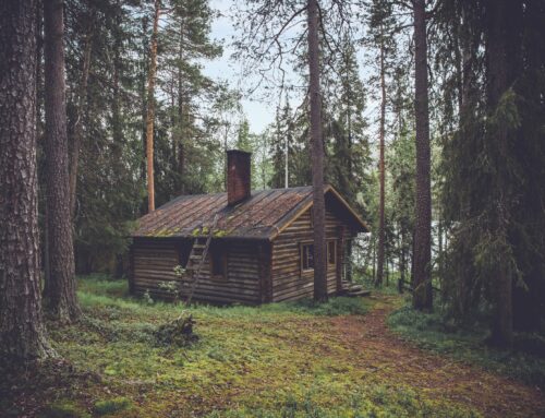 Mujeres solas en una cabaña del bosque
