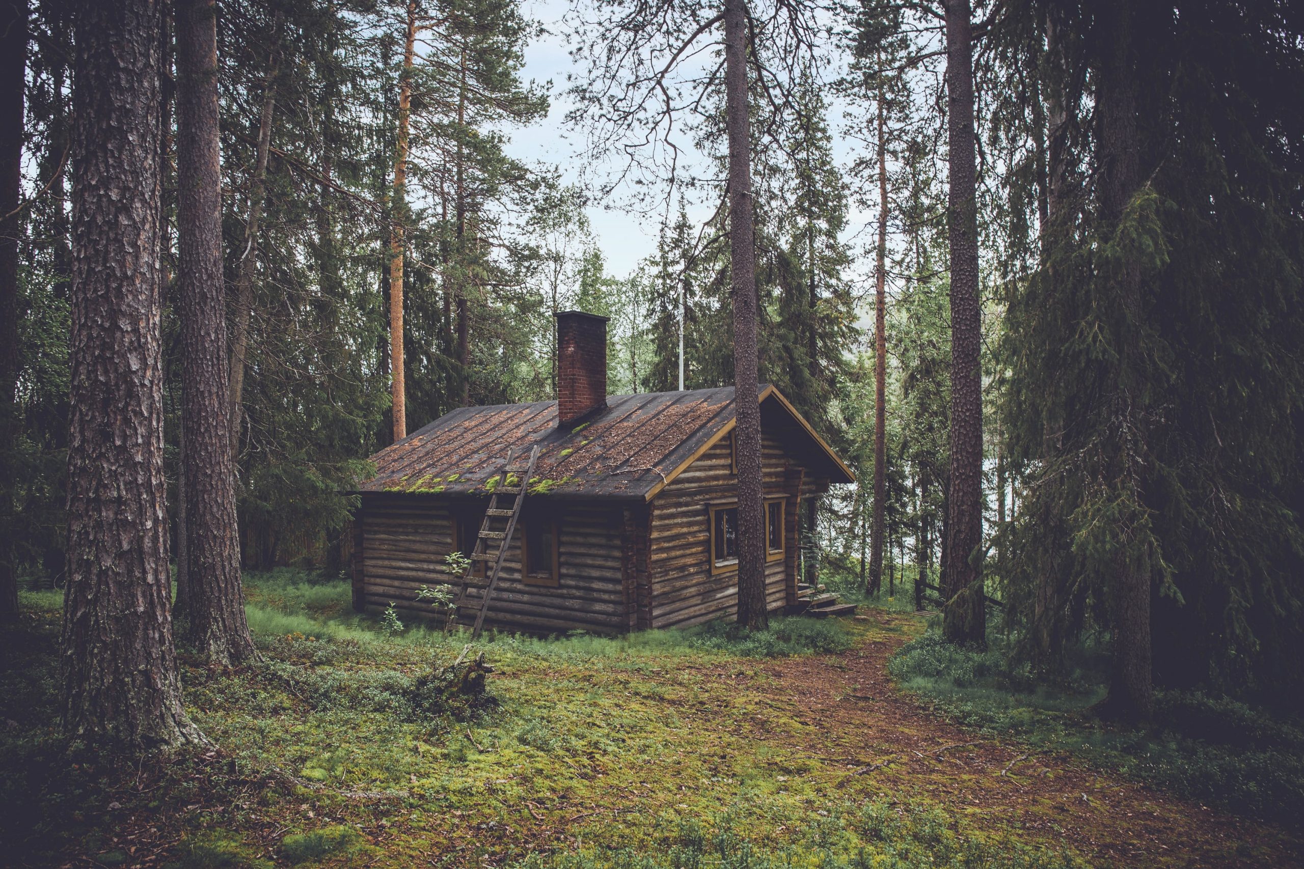 Imagen de Mujeres solas en una cabaña del bosque